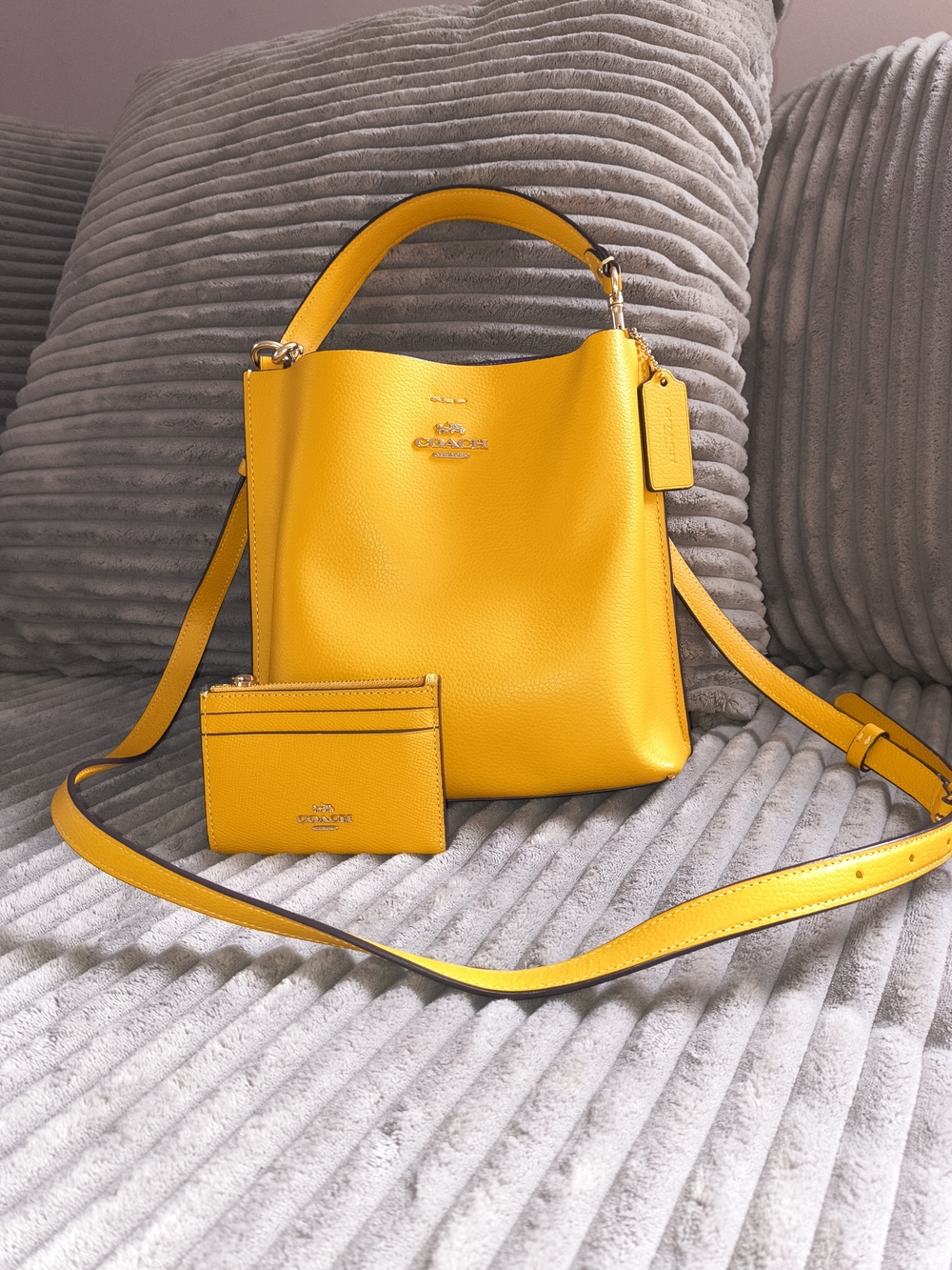 Coach Mollie 22 Leather Bucket Bag with Matching Key Ring Card Case - Retro 💛 - Picture 2 of 16